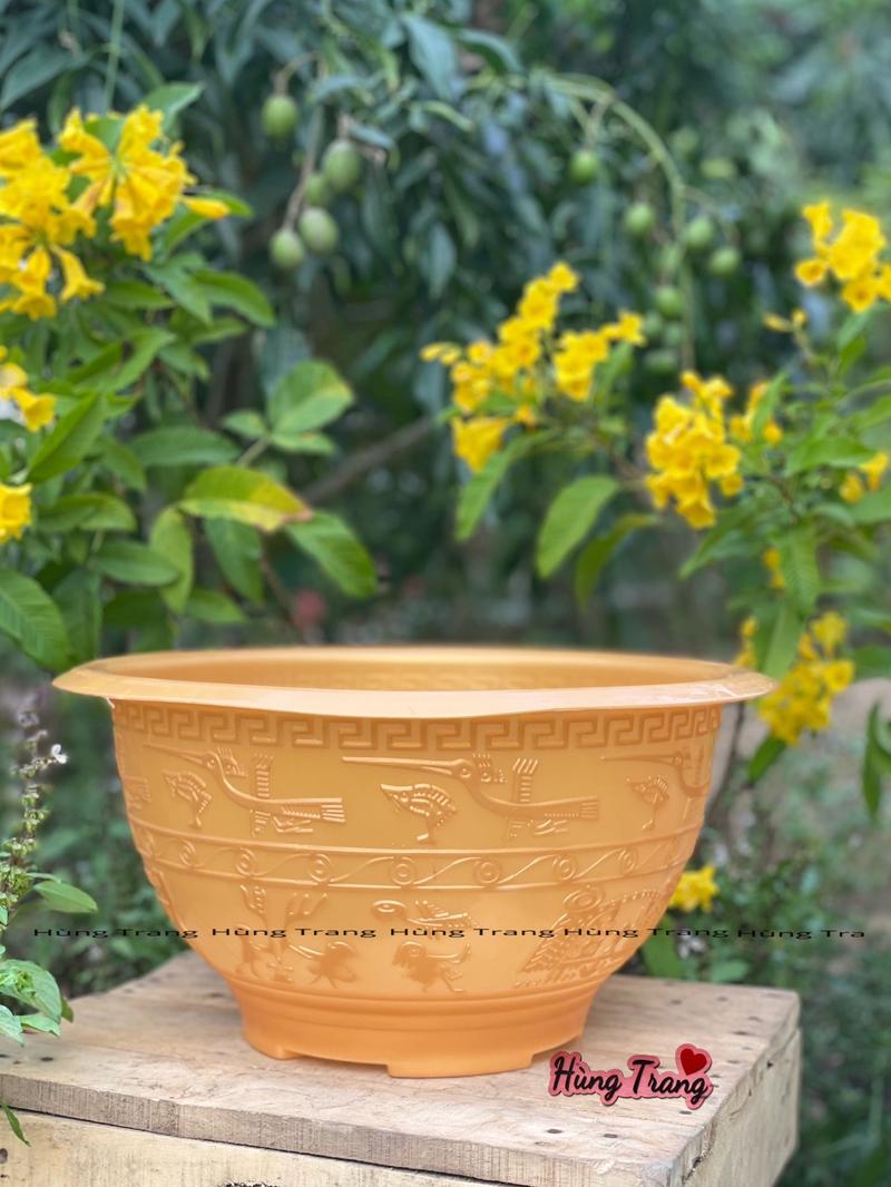 Product Introduction of [ 5 Cái ] Chậu nhựa trồng cây T48 đủ màu dày dặn ( miệng 44cm x cao 24cm ) 3
