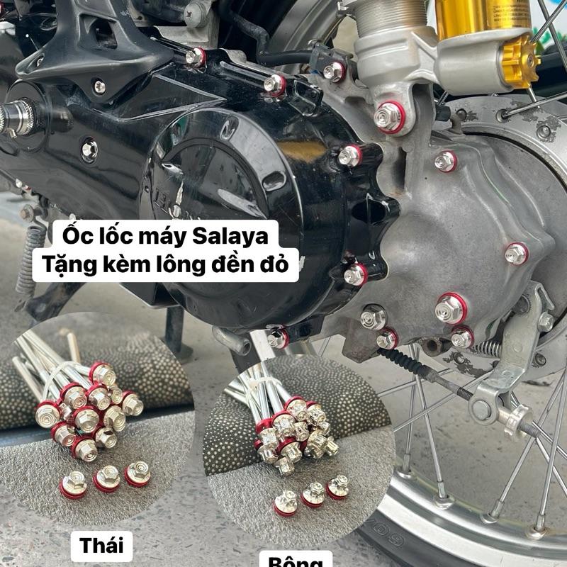 Ốc lốc máy Inox304 mẫu Bông - mẫu Thái ( Tặng kèm lông đền đỏ ) cho các dòng xe