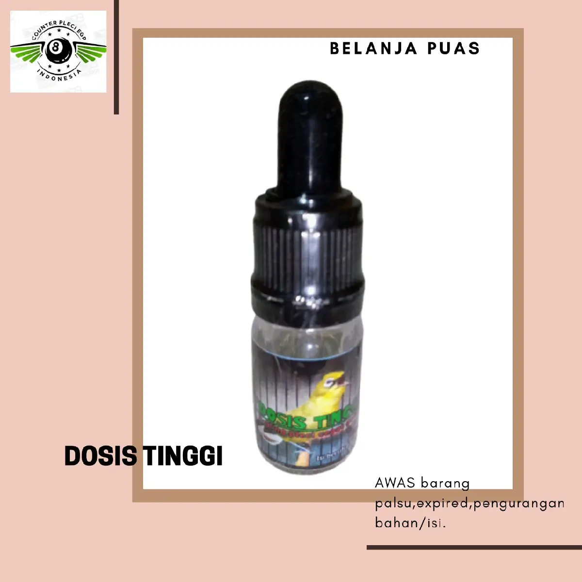DOSIS TINGGI DOPING PLECI CEPAT GACOR