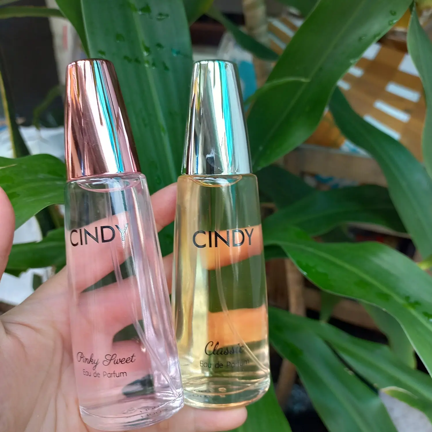 [2 Tone Màu] Nước hoa Nữ Pinky Sweet Cindy Classic Trẻ Trung Tinh Tế Trang Nhã Nhẹ Nhàng Lôi Cuốn 50ml