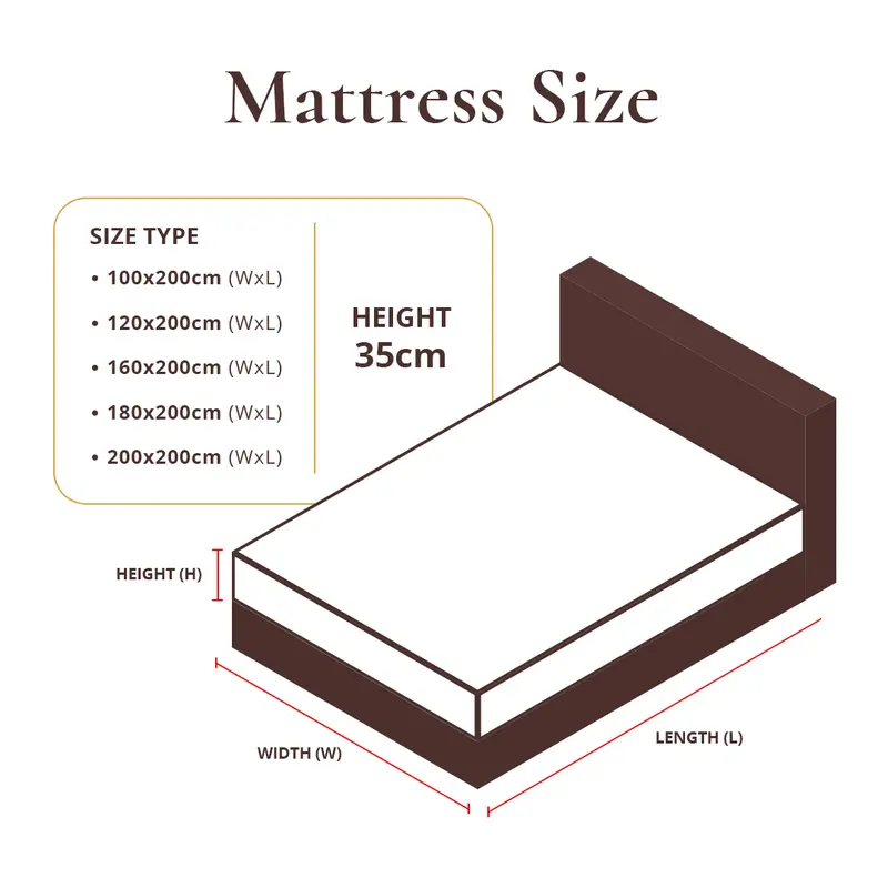 Kasur Springbed Lady Americana Chiroposture Mattress Only Bantal Furniture Matras Matras 2