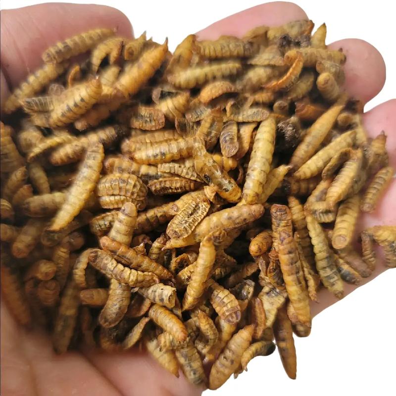  Sâu canxi sấy khô túi 500g . Bổ sung canxi và đạm cho gà tơ đến gà vào chế độ 