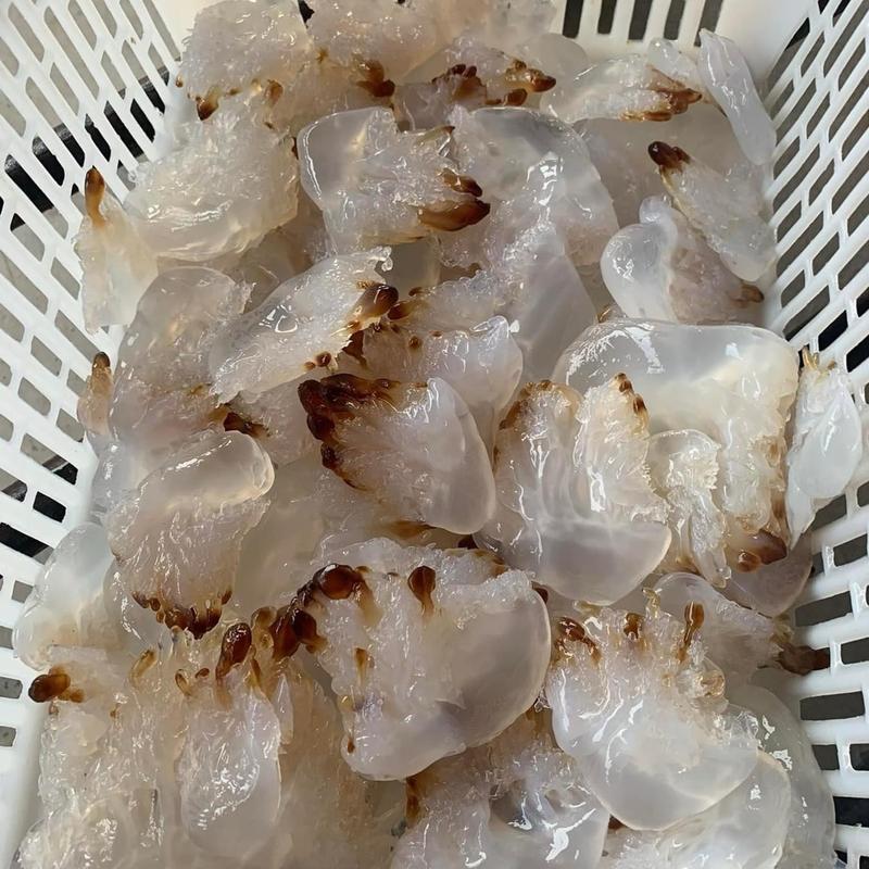 [ Tặng Sốt Mắm Nhĩ ] Sứa muối chua ngọt Thái Bình ( 100% nguyên chân móng sứa)