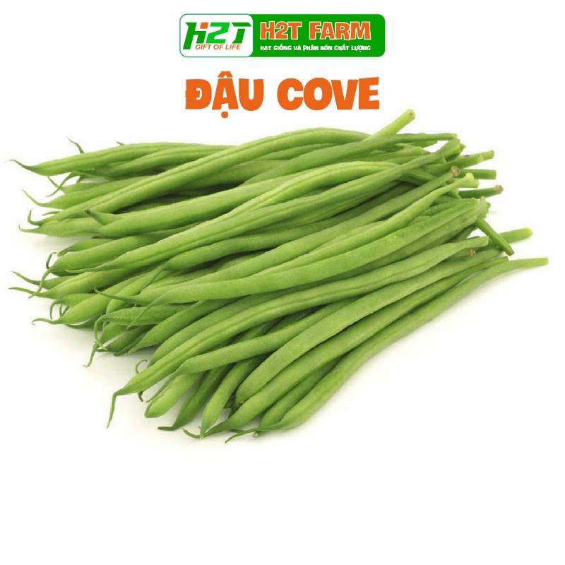 [DEAL 1K] 5 Hạt giống Đậu Cove Bụi Lùn Sinh Trưởng Khỏe, Trồng Quanh Năm(gói chiết nhỏ) - h2t farm 1