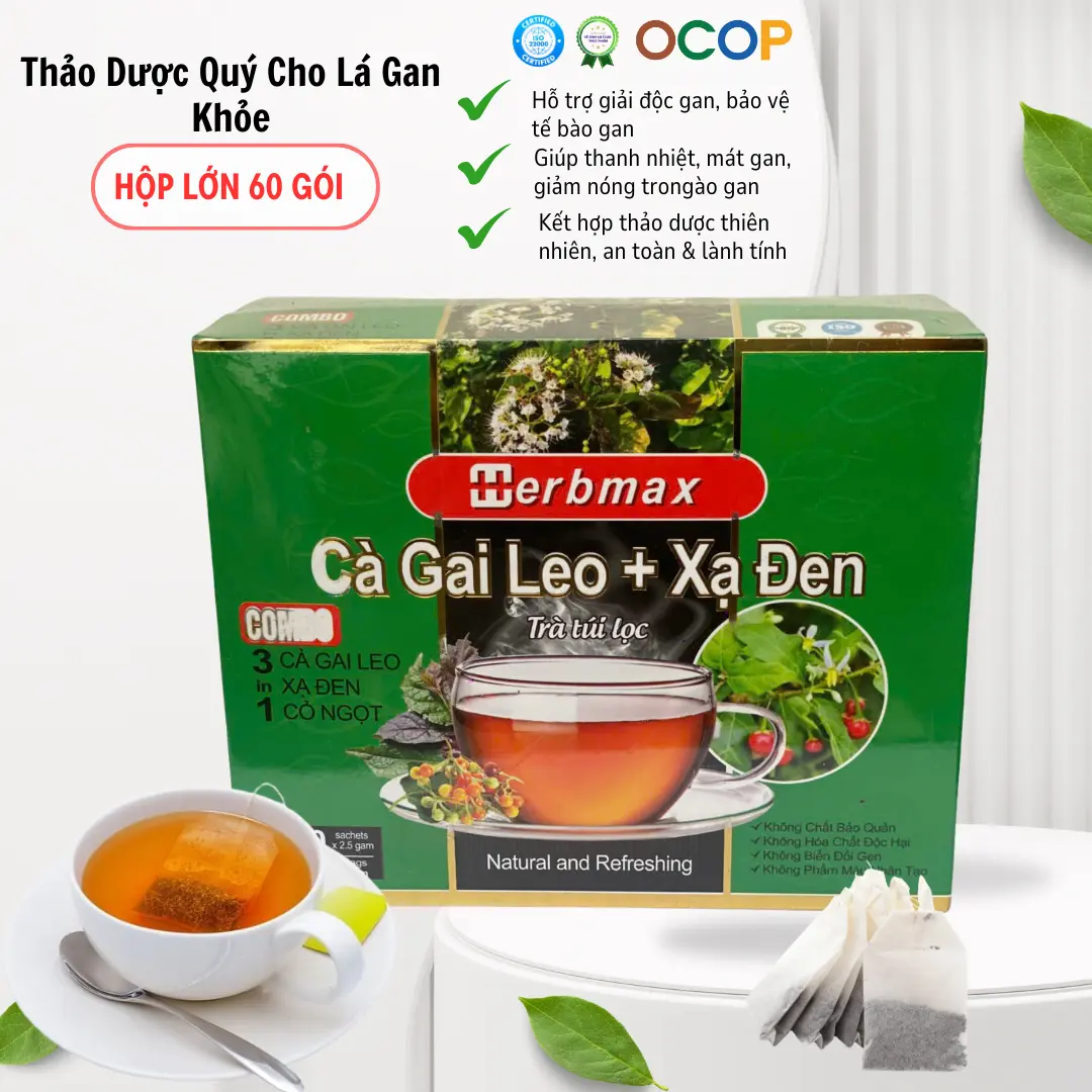 [Hộp Lớn 60 Gói] Trà Cà Gai Leo Xạ Đen Herbmax – Thanh Lọc Gan, Giải Độc, Hỗ Trợ Mát Gan