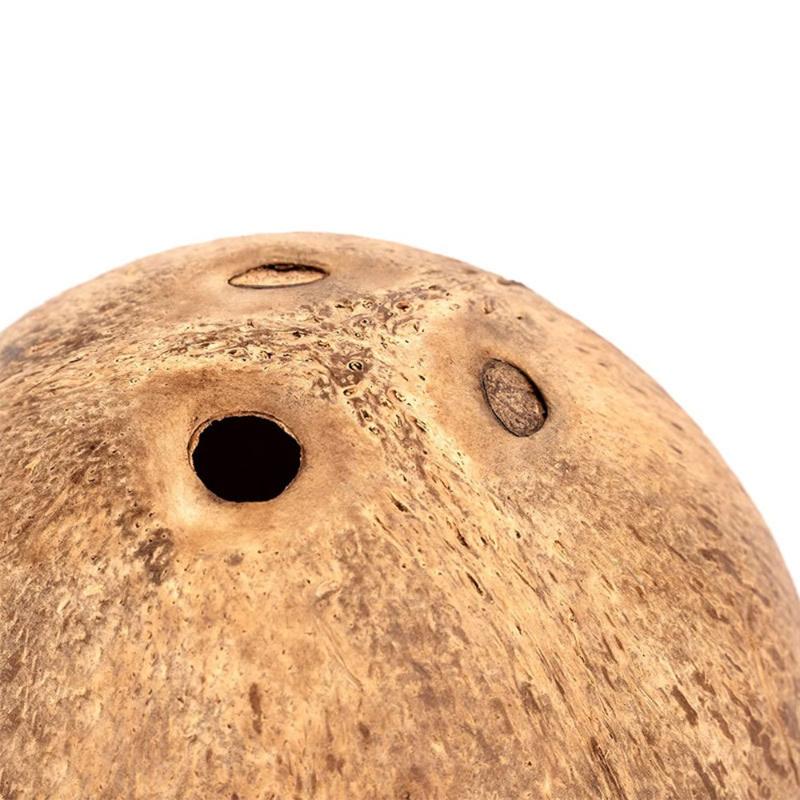 Product Introduction of Practical Coconut Hamster House Bite Resistance Wear Resistant Bite-resistant Natural Coconut Shell Warm Guinea-pig Hamster Hideout House 12