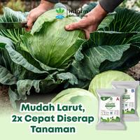 Gambar INFARM - AB Mix Sayuran Daun 1000L Nutrisi Hidroponik Premium , Selada & Sawi Cepat Panen - AB MIX SAYUR 1000 dari Infarm Kota Surabaya 5 Tokopedia