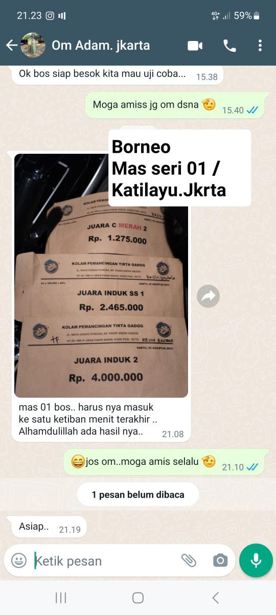 Product Introduction of Booster Borneo / Pengumpul Ikan 8