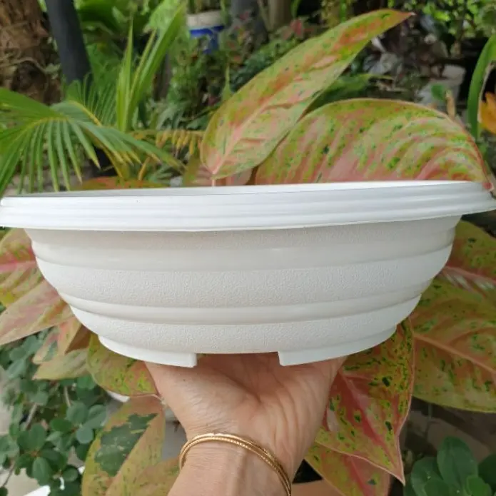 BONSAI BULAT MOTIF TAWON UK 30 pot bunga bonsai bulat ceper motif tawon ...