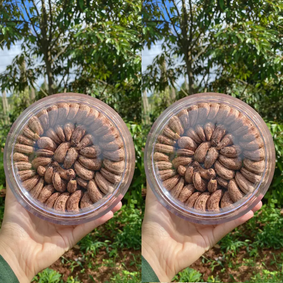 2 Hộp Hạt Điều Rang Muối tổng 1kg Snack Nuts Ăn Vặt Food