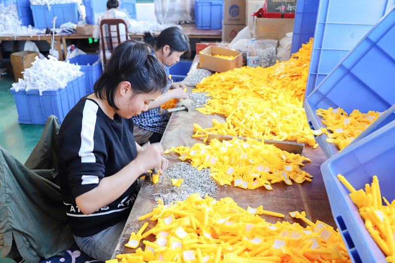 Product Introduction of ไม้แขวนชุดชั้นใน, วัสดุพลาสติก, ชั้นวางยกทรง, สำหรับชุดชั้นในและชุดชั้นในสำหรับผู้ใหญ่, คลิปสำหรับตากผ้าในครัวเรือน, เหมาะสำหรับการแสดงผลร้านขายชุดชั้นใน, ขาตั้ง 3