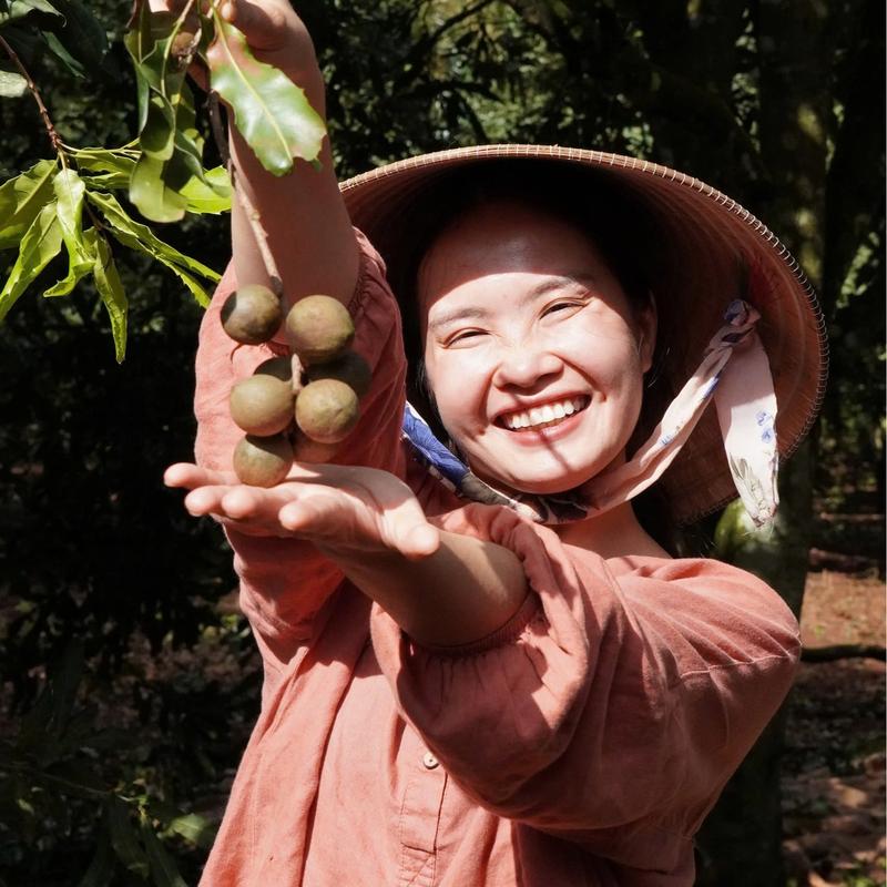 HẠT MACCA SIZE ĐẠI DAKLAK VỤ MỚI - HANA BAN MÊ