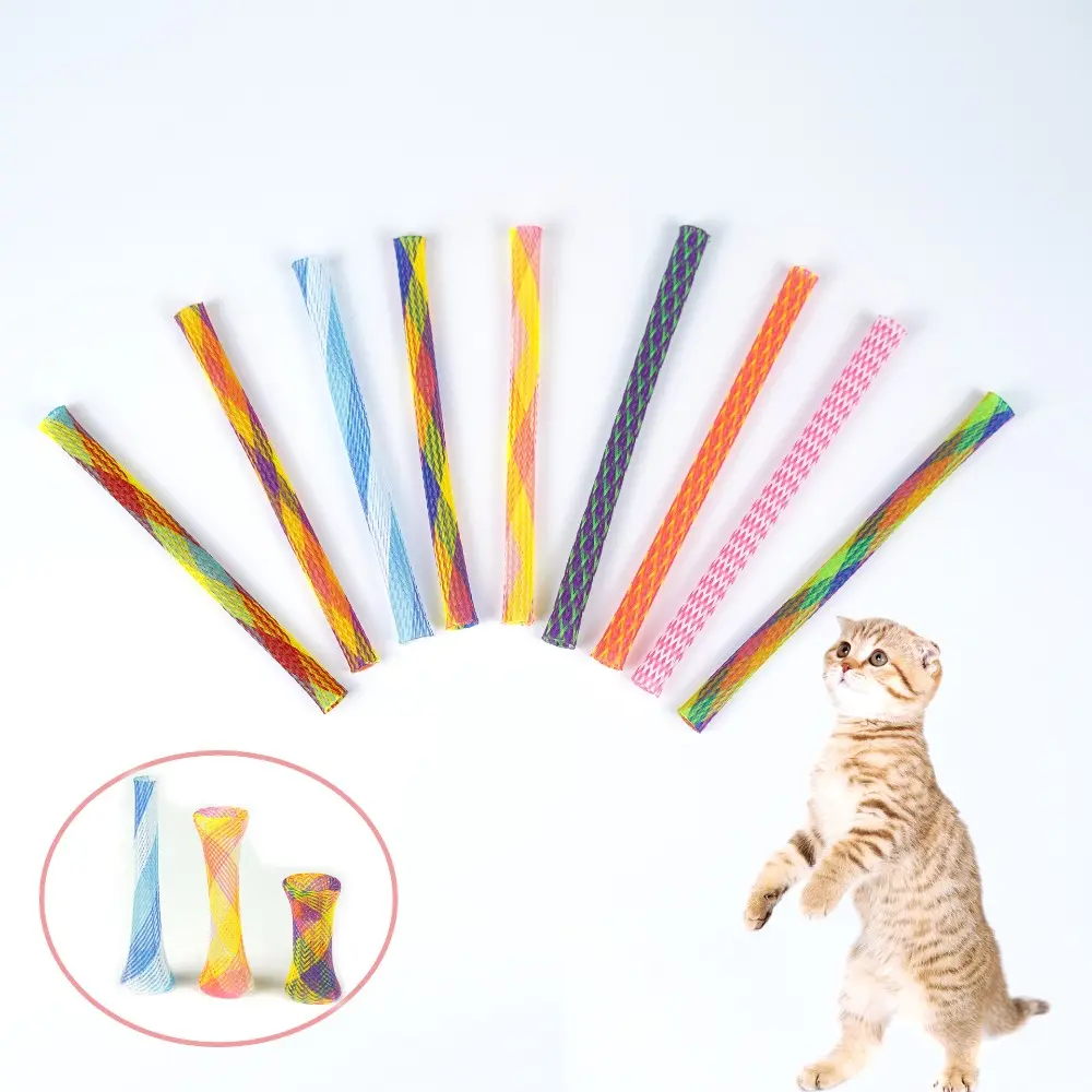 Random Color Colorful Spring Tube Toys Fun Plastic Pet Action Interactive Toys Flexible Spring Toy Set For Indoor Cat