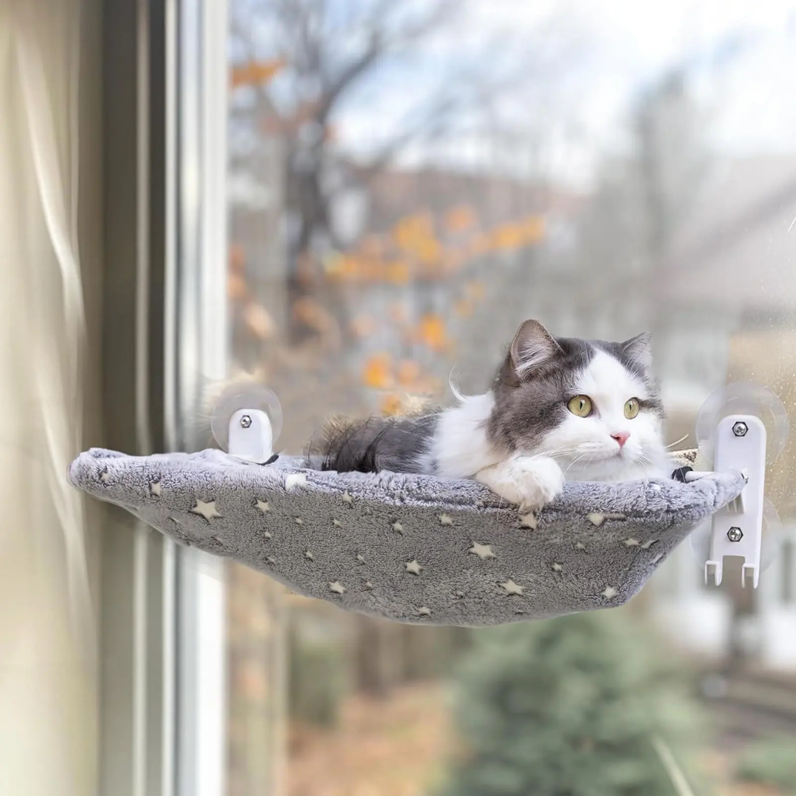 Foldable Cat Window Perch Glow in The Dark Cat Hammock Cordless Cat Bed with Suction Cups Cat Sunbathing Resting Seat for Indoor Cats