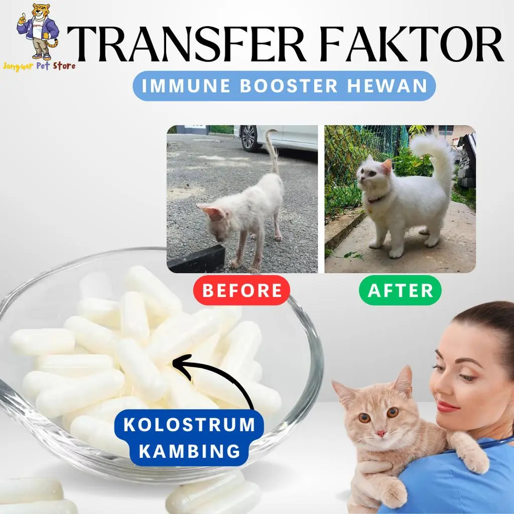 IMUN BOOSTER ANTI VIRUS KUCING TRNSFER FACTOR CAPSULE