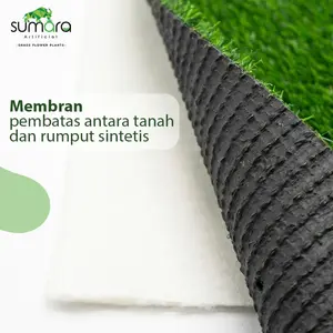 Membran Rumput Sintetis untuk Lantai Taman