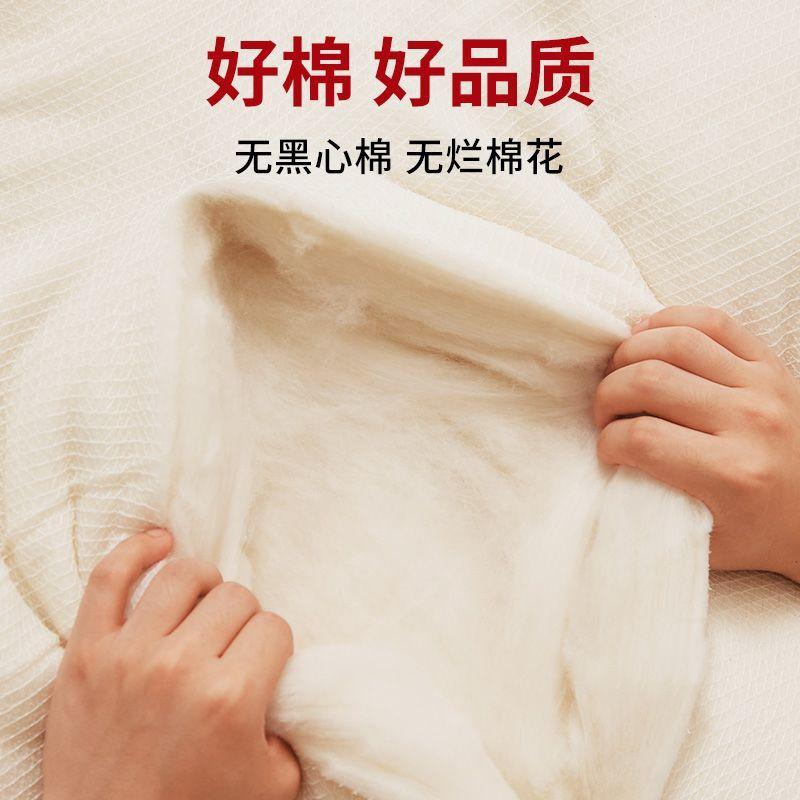 Xinjiang Cotton Long-Staple Cotton Quilt Thickened Warm Student Cotton Quilt Base Cotton Mattress Mattress Pad Cotton Core Single Double 6