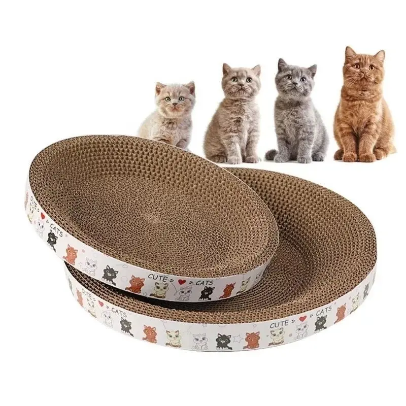 Bàn cào móng cho mèo hình tròn nhiều kích thước Hoshi Pet BM03 - Đồi chơi cho mèo 3
