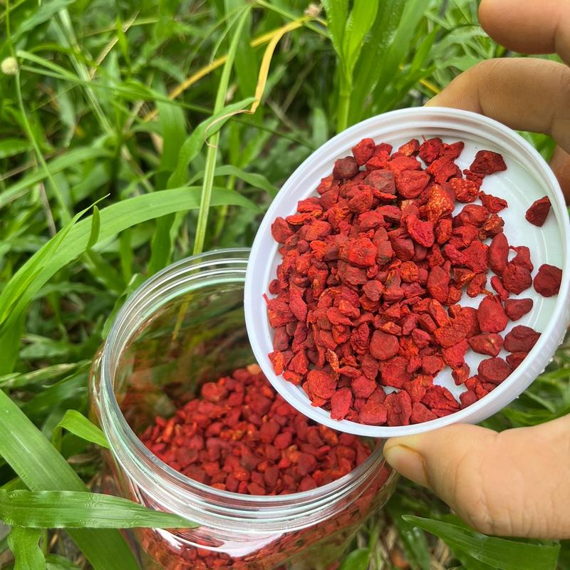 0,5 kg Nghệ phá hạt lựu 1