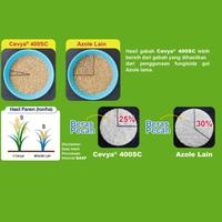 Gambar Cevya 100 ml - Fungisida UntukPenyakit Busuk Pelepah Bercak Daun Padi dari BASF Petani Sejahtera Kota Tangerang 4 Tokopedia