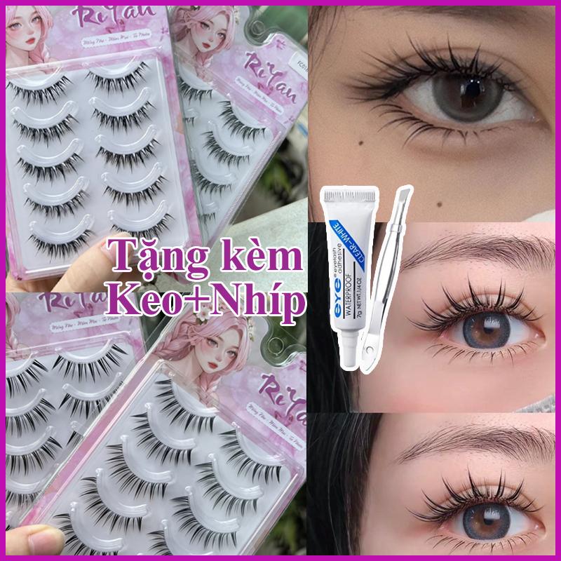 Mi Giả Mắt Ướt Búp Bê Barbie Gân Trong 5 Cặp RiYan Tái Sử Dụng Nhiều Lần Tặng Kèm Keo Nhíp bảng nối