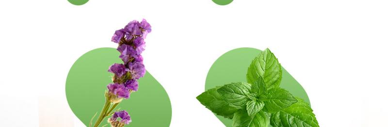 Product Introduction of Northern Hua Tuo Argy Wormwood Dingding Children Cartoon Outdoor Argy Wormwood Lemongrass Essential Oil Anti-Summer Camping Mosquito 24