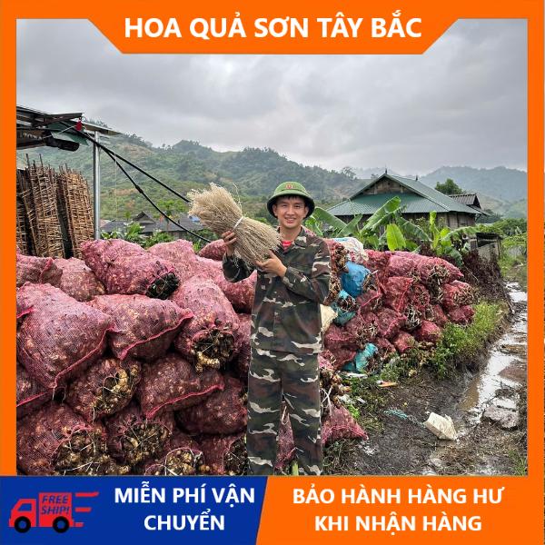 Miến dong làm thủ công của bà con huyện yên châu tỉnh sơn la HOA-QUẢ-SƠN-TÂY-BẮC Food Thức Ăn 3