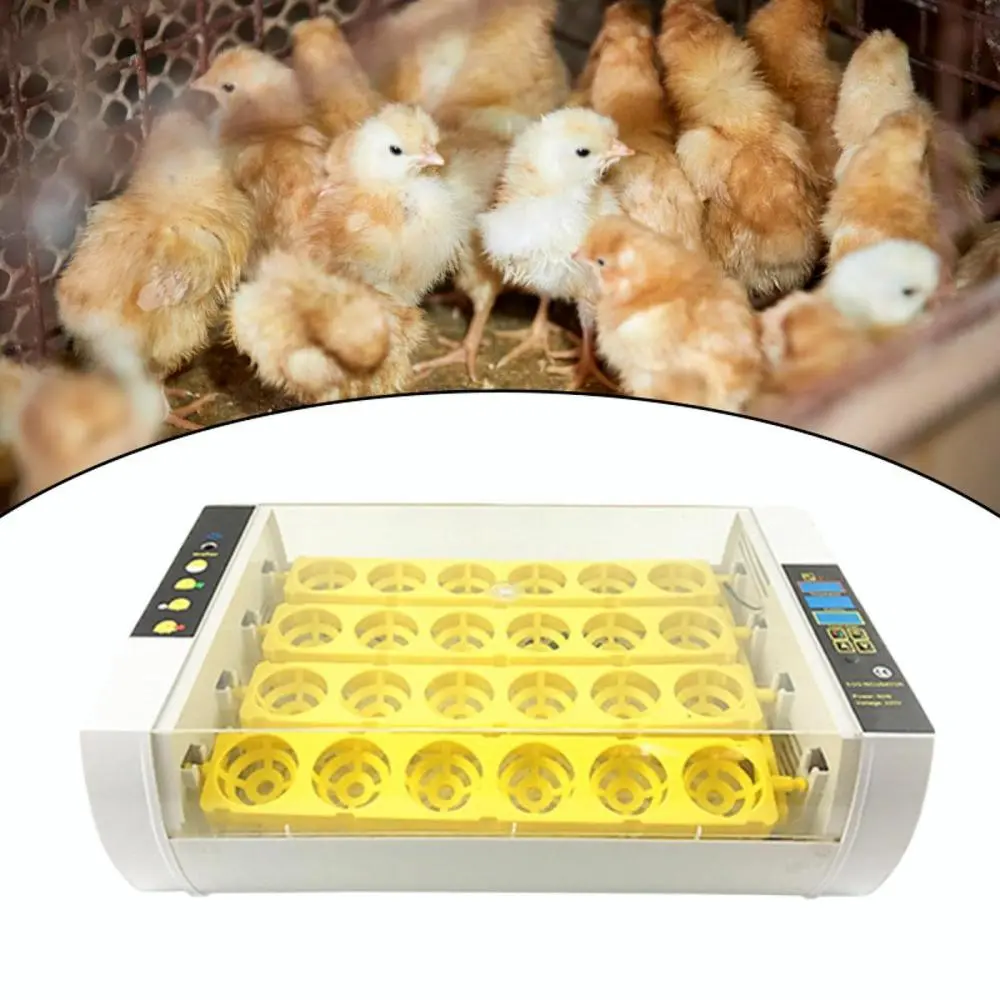 Egg Incubator Automatic Egg Turning Hatching Machine for Goose Poultry Duck