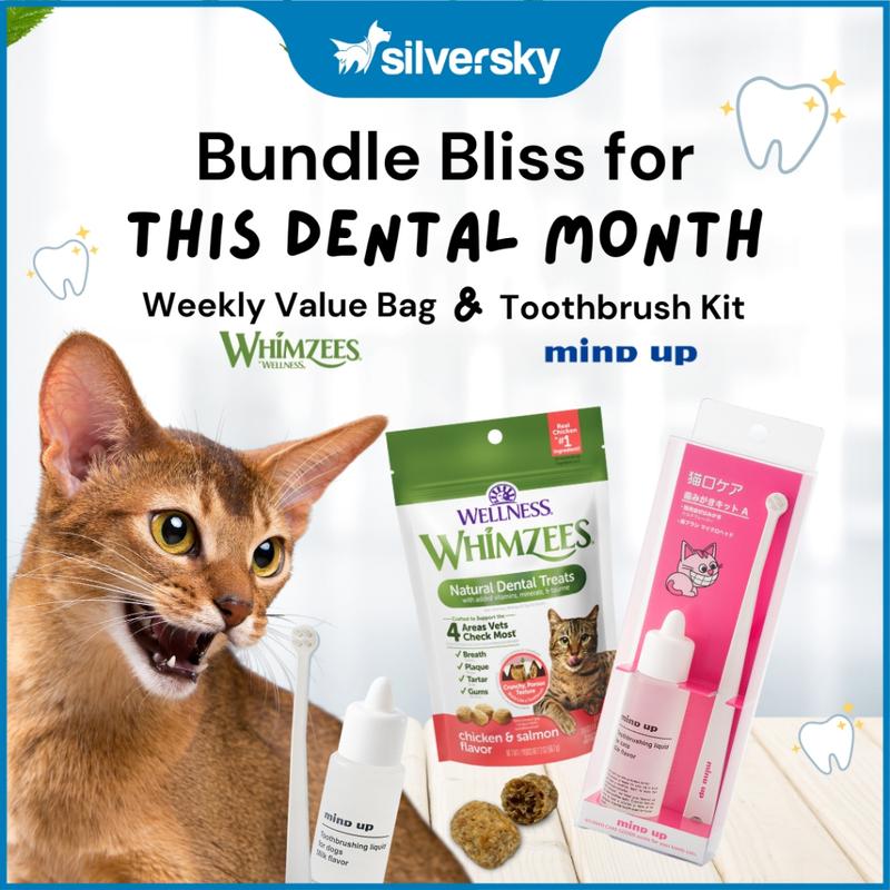 Complete Cat Dental Care Bundle: WHIMZEES Natural Cat Dental Treats ...