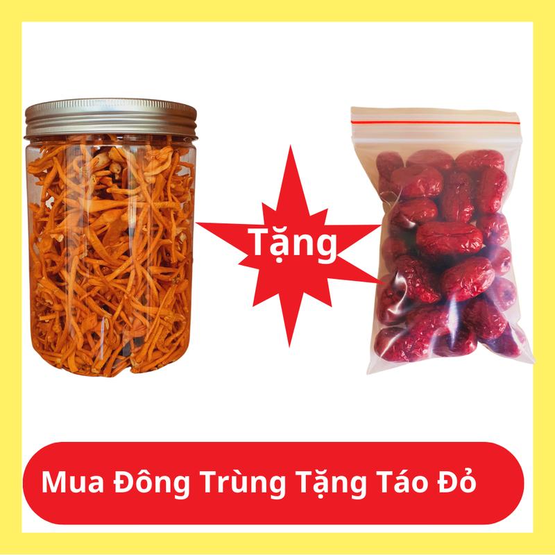 [Tặng Táo Đỏ] Đông Trùng Hạ Thảo sấy khô Lọ 35 gram [loại gãy vụn]