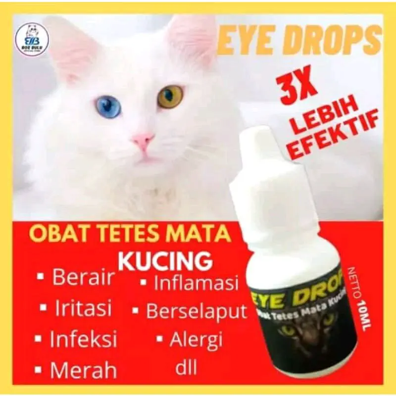 eye drop mengatasi sakit mata akibat infeksi maupun akibat virus