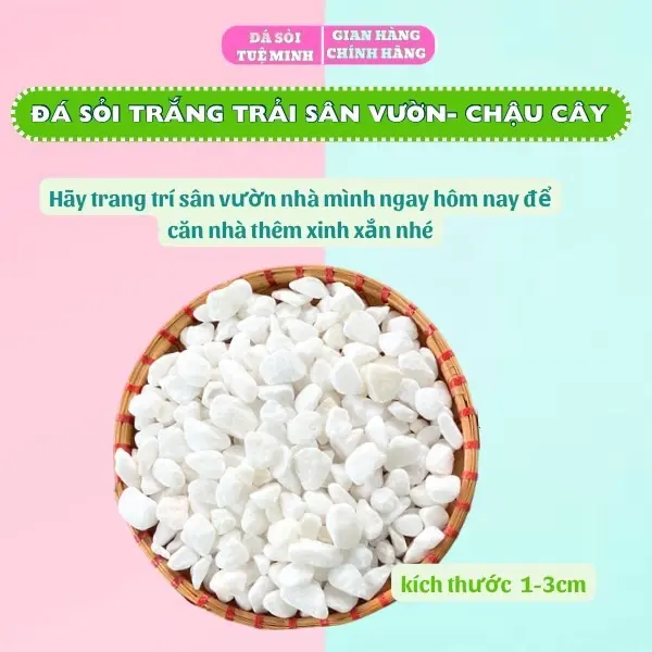 Đá Sỏi Trắng Trang Trí Chậu Cây, Hồ Cá, Trải Sàn Nhà, Trang Trí Sân Vườn, Quán Cafe, Sỏi Trắng Đẹp thuỷ  sinh 3