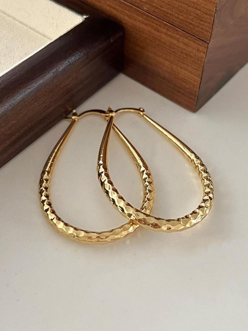 Product Introduction of Women's Elegant Texture Metal Design Hoop Earrings, Exquisite Trendy Hoop Earrings, Gorgeous Jewelry As Birthday Gift for Girlfriend 7