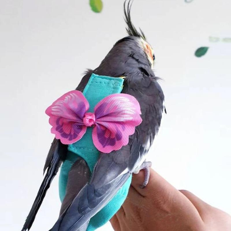 Bird Harness and Cloth Colorful Flying Rope Outdoor Training Toy for Cockatooes Outside Walk Go Out Supplies 5