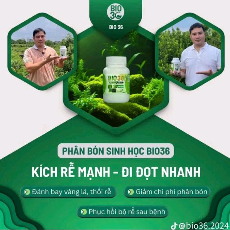 Mua 3 tặng 1 Bio 36 500g siêu kích rễ đi đọt nhanh, tăng năng suất, Bio36 khỏe cây dày lá, phục hồi cây sau thu hoạch 5