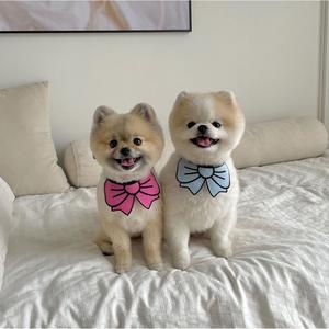 ผ้าขนหนูน้ำลายสัตว์เลี้ยง, ดีไซน์โบว์ Papa Meow, สำหรับสุนัขและแมว, ผ้ากันเปื้อนสุนัขและแมว, เหมาะสำหรับสุนัขและแมวขนาดเล็กและขนาดใหญ่, เครื่องประดับน่ารัก รองเท้า  น้อง  หมา