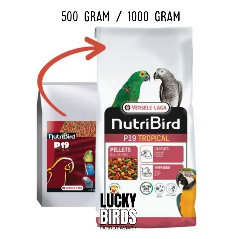 Nutribird P19(โฉมใหม่) อาหารนก อาหารนกแก้ว สำหรับนกขนาดกลางถึงขนาดใหญ่ ขนาด500กรัม และ 1000กรัม สปอตสินค้า