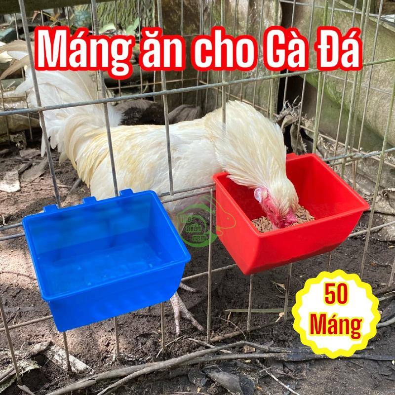SET 50 Máng vuông trung 3 móc đựng thức ăn cho gà chọi, máng ăn uống cho gà chọi kích thước 12x10x7 phụ kiengachoi muỗng dùa