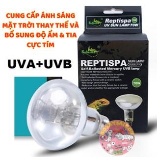 SOLAR REPTISPA - ĐÈN KẾT HỢP UVB & UVA DÀNH CHO THÚ CƯNG VÀ BÒ SÁT IGUANA RỒNG ÚC