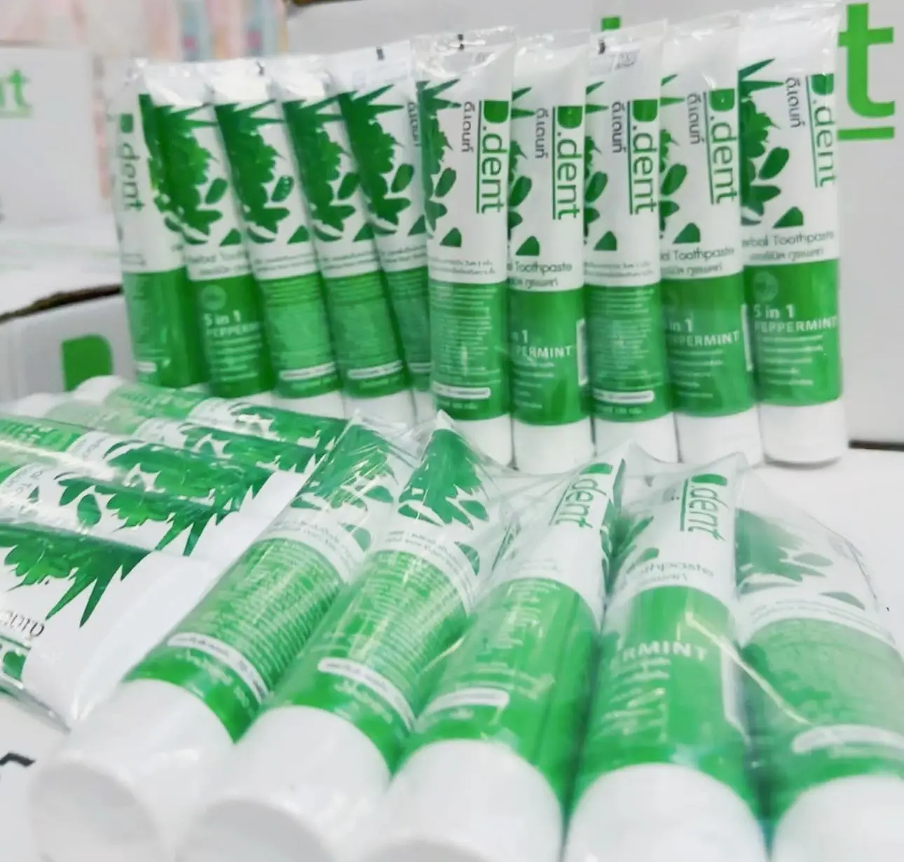 โปร 10 หลอด ยาสีฟัน ดีเดนท์ ยาสีฟันสมุนไพรขนาด 100 กรัม ของแท้ [ ส่งฟรี ]