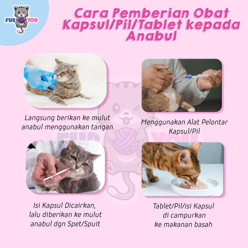 Furyou Healty Cat Vitamin Imun dan Nafsu Makan 4