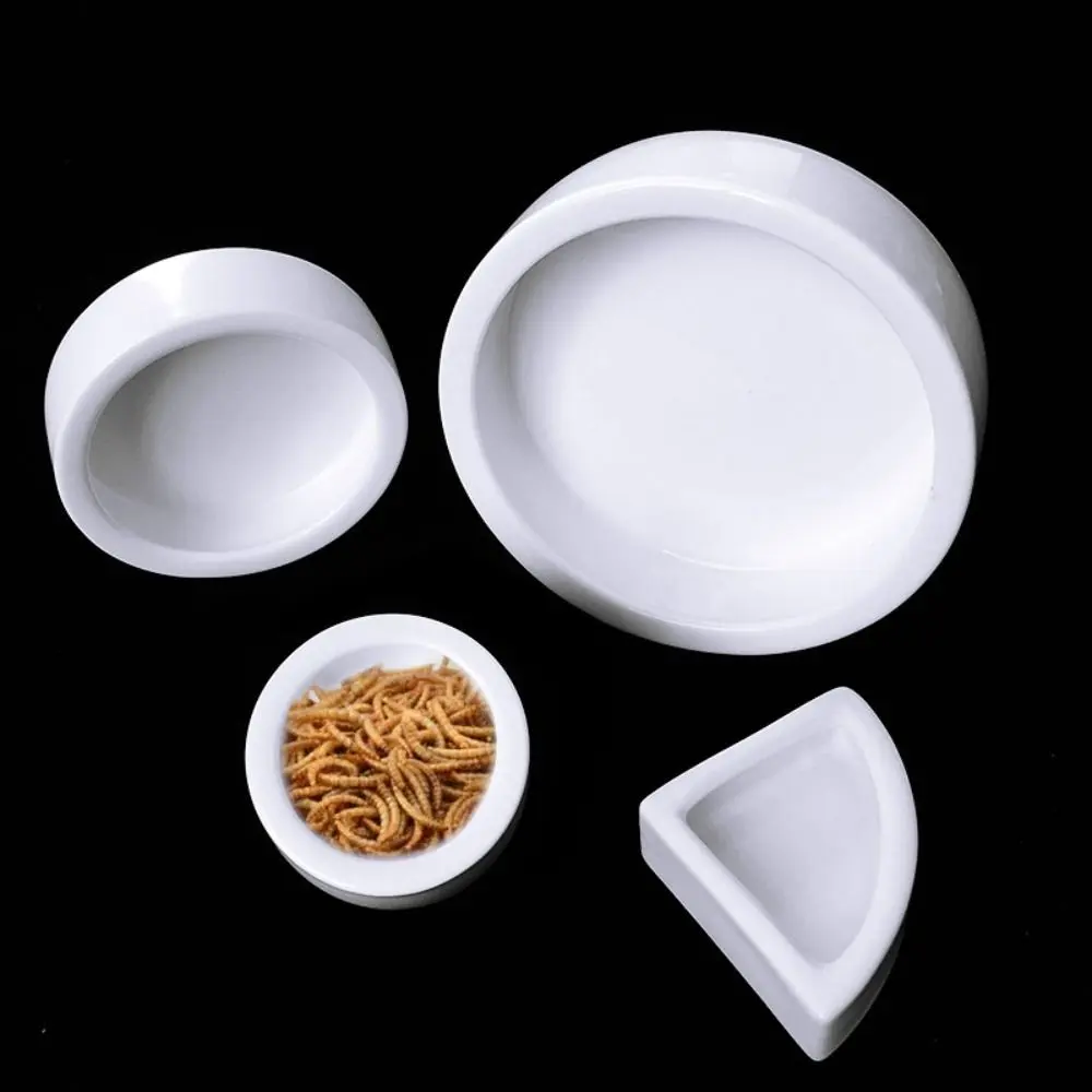 Durable Ceramic Lizard Bowl White Round Reptile Feeding Dish Escape Proof Aseptic Lizard Food Pot Home
