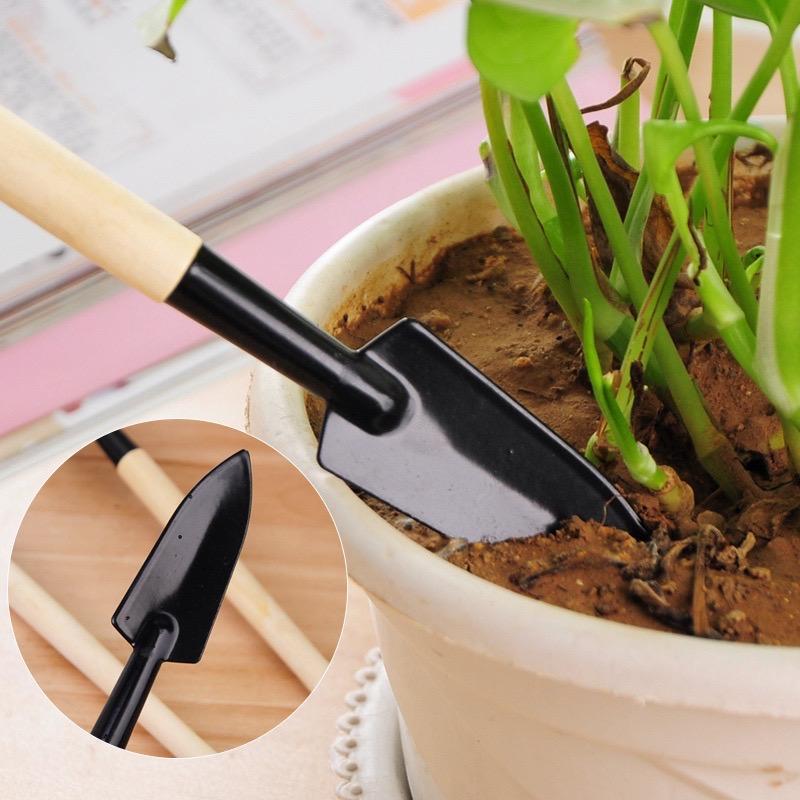 Product Introduction of Three-Piece Multifunction Mini Garden Tools - Shovel, Rake, and Potted Plant Care 2