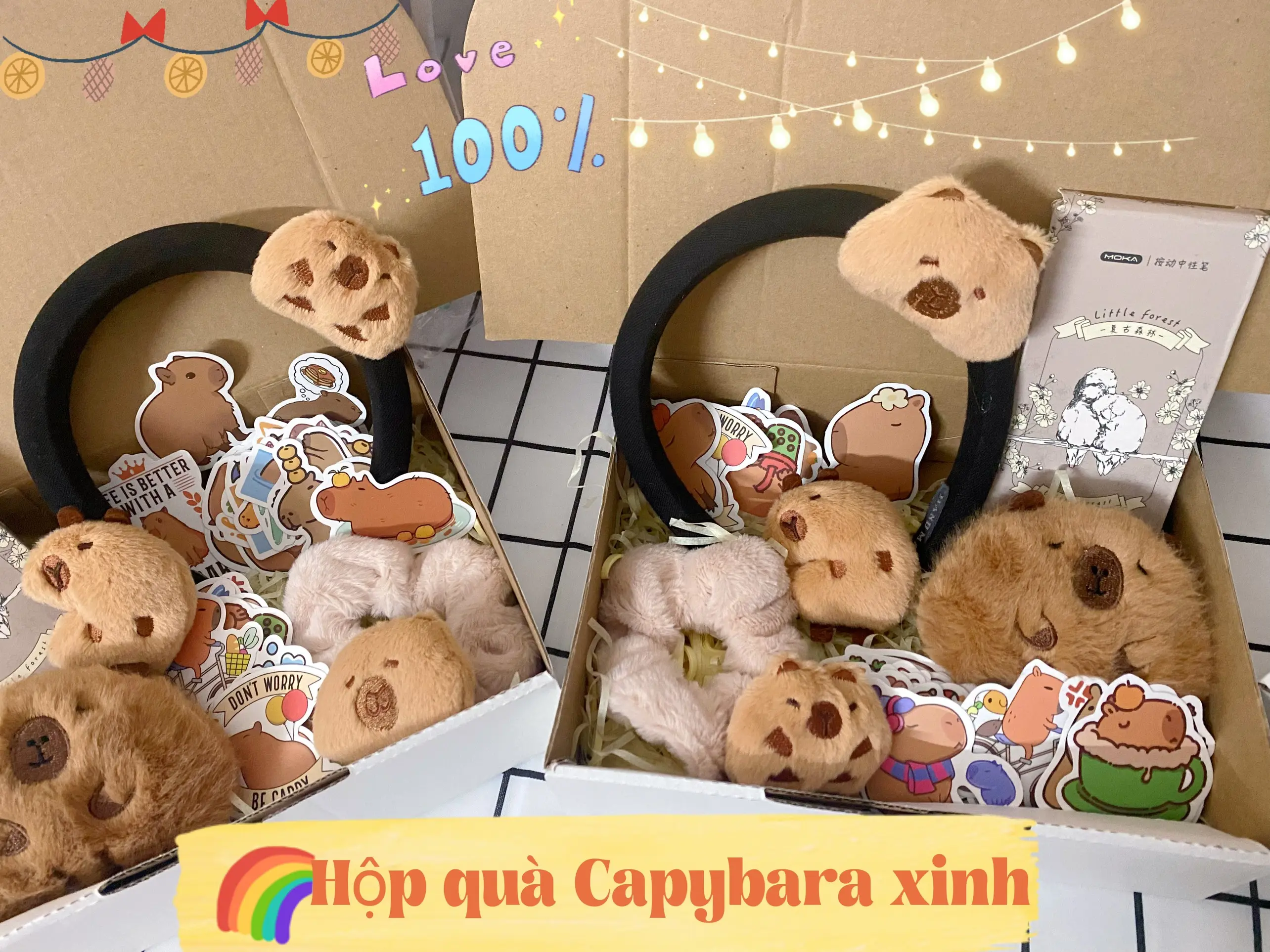Hộp quà Capybara xinh xắn cho bạn gái,crush sịp sinh nhật,kỷ niệm setquatang  chonguoiyeu