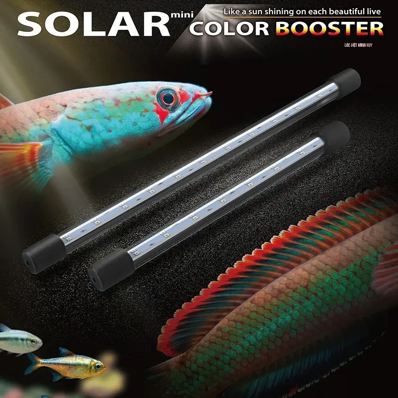 ĐÈN SOLAR COLOR CHO CÁ LÓC CÁ RỒNG -Neo Helios Solar Color Booster RGB. Chuyên dùng cho Cá Lóc Cảnh,cá rồng… và các loại cá khác. 0