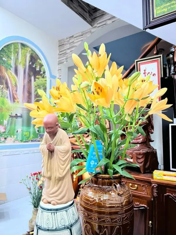 Nước dưỡng hoa Dr Natro - Giữ hoa tươi lâu 3 - 4 tuần - Màu sắc hoa bền đẹp gấp 3 - 5 lần - Chai 300ml (tặng 1 gói dưỡng hoa size nhỏ ) 6