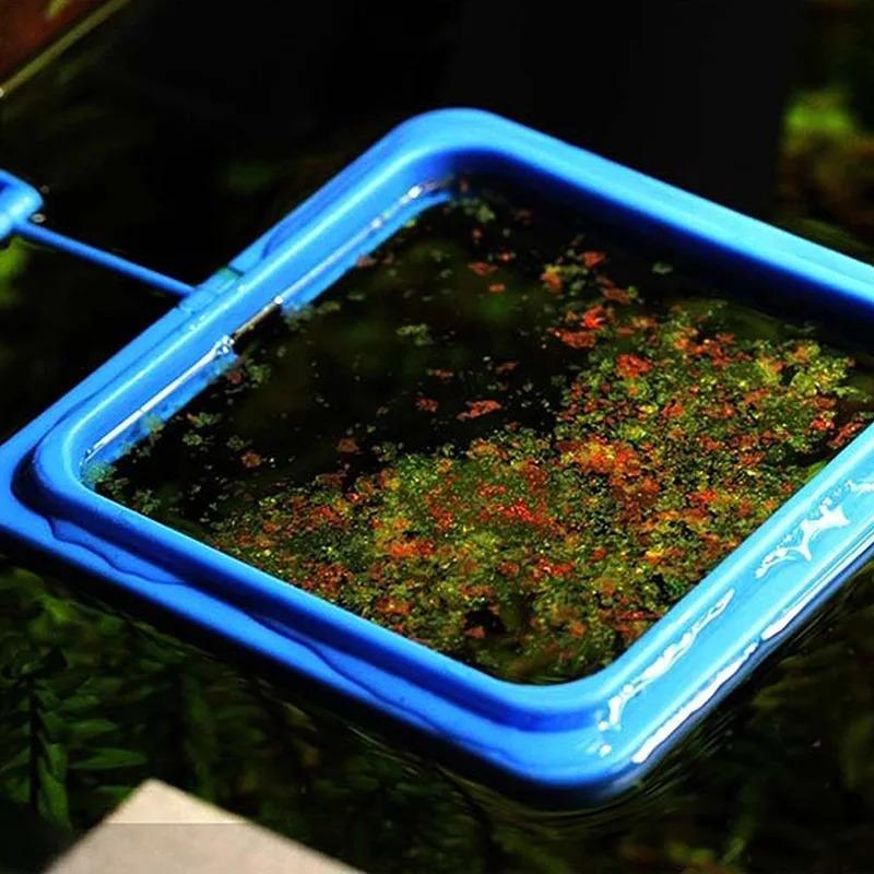 Product Introduction of Feeding Ring Aquarium Fish Tank Station Floating Food Tary Feeder Square/Circle Drop shipping 9
