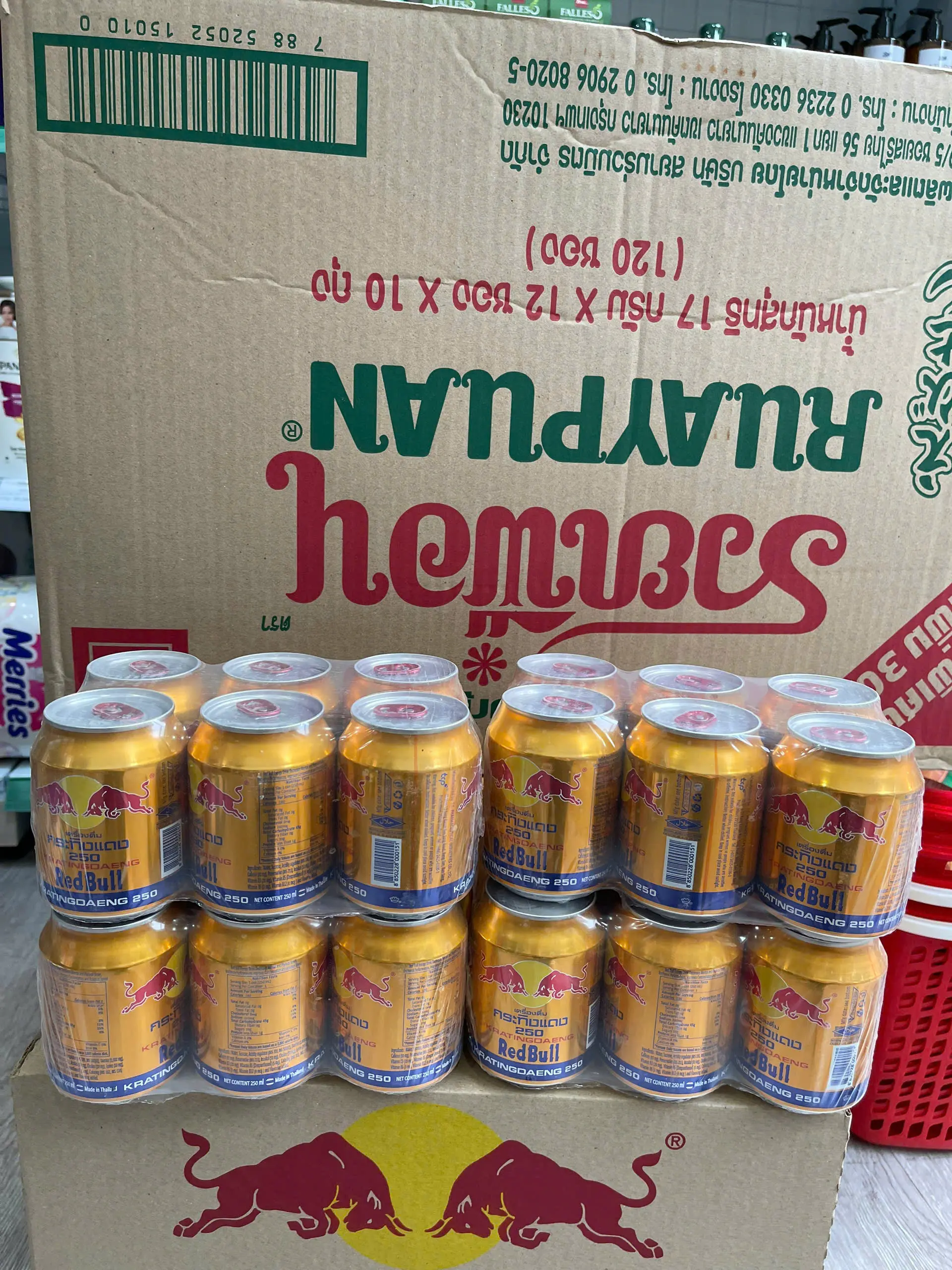 REDBULL BÒ HÚC LON THÁI LAN - TIẾP NĂNG LƯỢNG CỰC MẠNH
