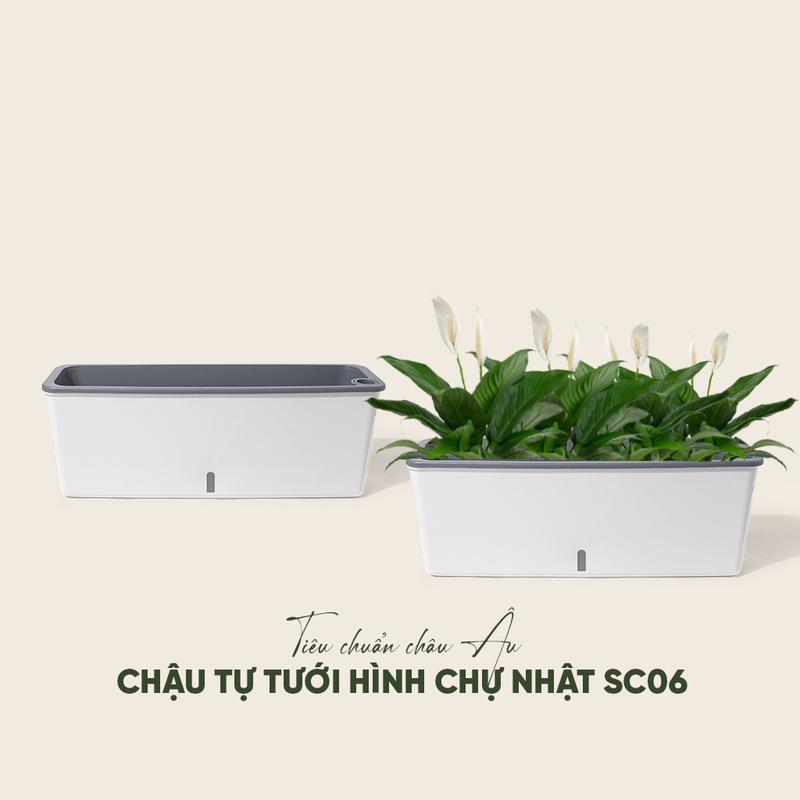 Chậu trồng cây tự tưới hình chữ nhật MONROVIA, trồng hoa, rau , chất liệu cao cấp theo tiêu chuẩn châu Âu tại nhà