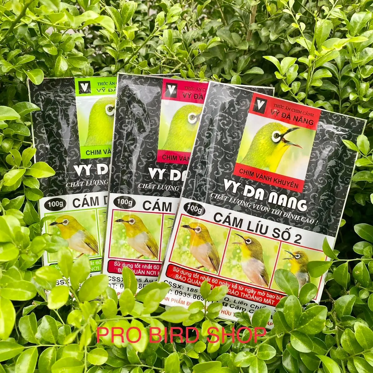 Cám Vành Khuyên Dưỡng, Đấu Vỹ Đà Nẵng